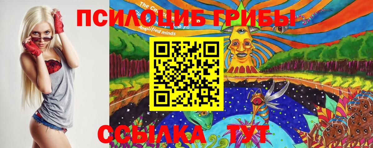 Псилоцибиновые грибы MAGIC MUSHROOMS  Вход с VPN  Псилоцибиновые грибы ЛСД  что такое наркотик  Кемерово 